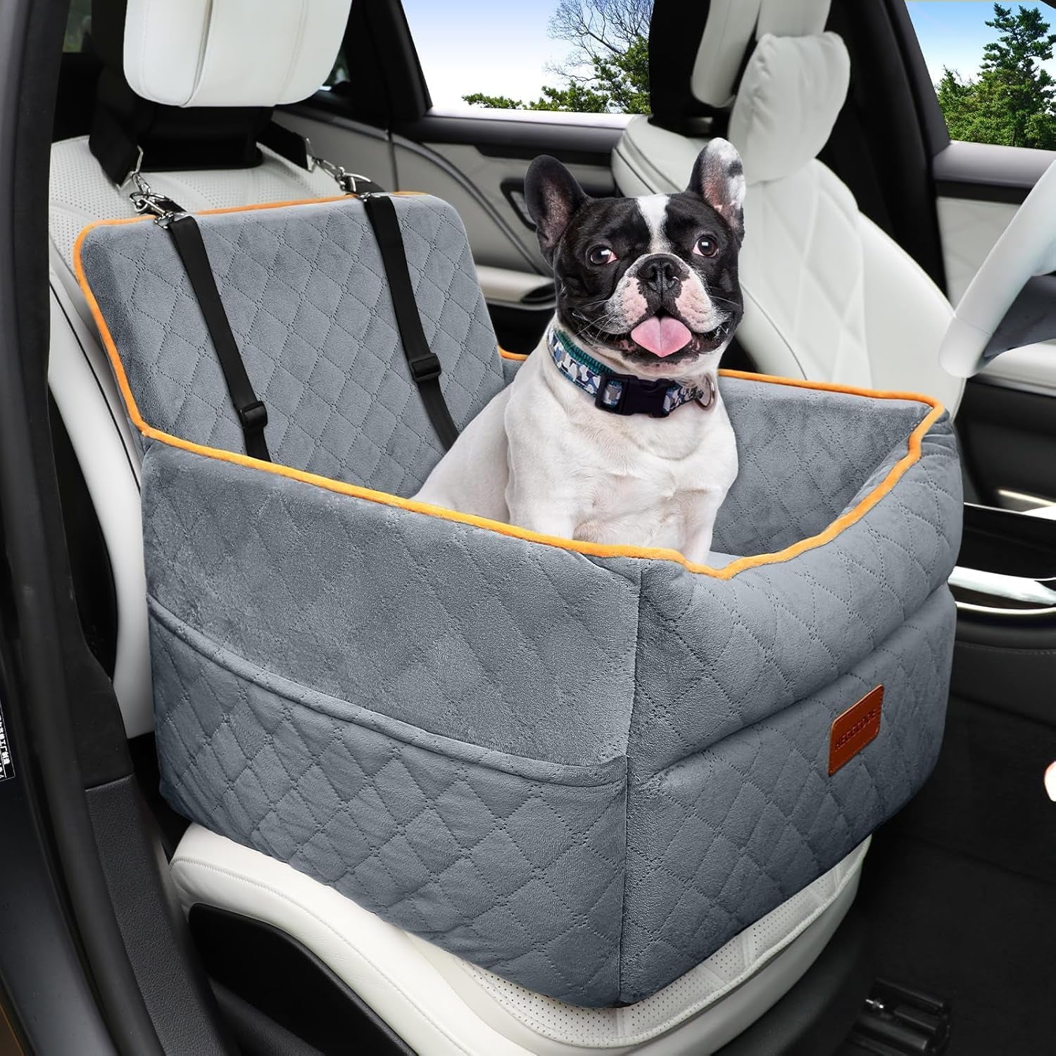 Small Dog Car Seat, Memory Foam Dog Booster Seats with Thick Cushion for Medium Dogs under 35Lbs, Detachable Washable Pet Car Seat with Storage Pockets,2 Safety Belts
